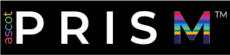 Ascot Group Prism Logo